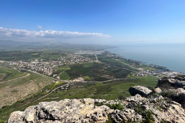 Arbel
