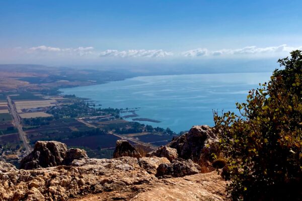 Arbel BEST