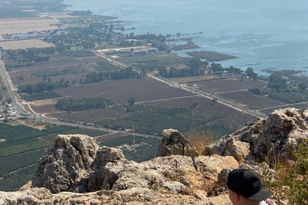 Arbel w One