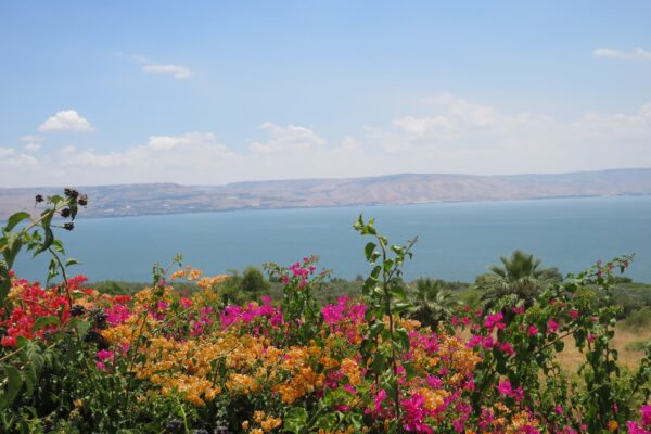 Sea of Galilee